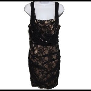 Cream and Black Lace Express Design Studio Dress
